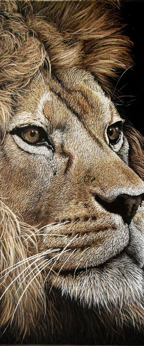 "Lion" 60 x 45 cm , Ready to Hang / hyperrealism / photorealism / wild cat / wild life/ animalism by Elena Adele Dmitrenko
