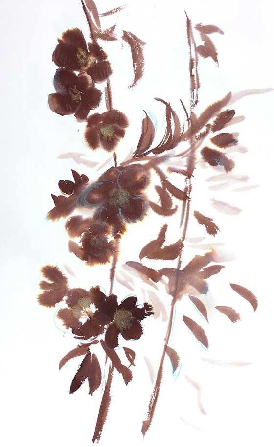 Brown flowers