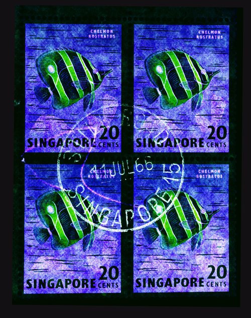 Singapore Stamp Collection 20 cents Singapore Butterfly Fish (Blue) by Richard Heeps