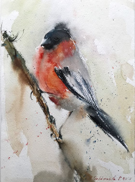 Bullfinch (small bird) - 20 x 29 cm