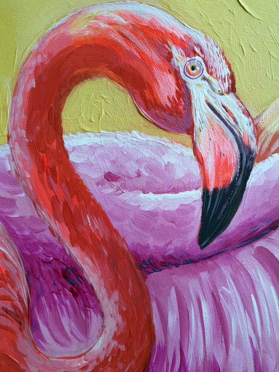 Flamingo.