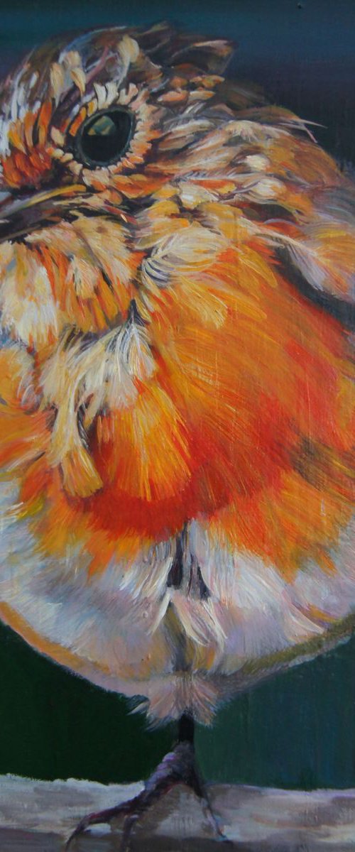 Robin by Karen Wilcox