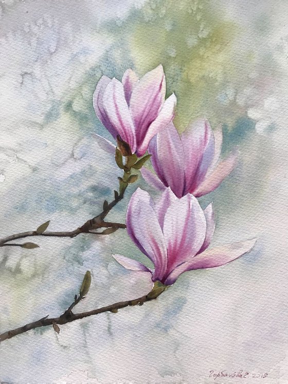 Magnolia Flowers