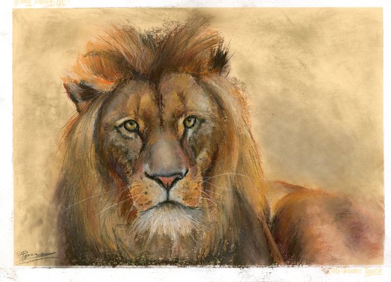 Lion - Original Pastel Drawing