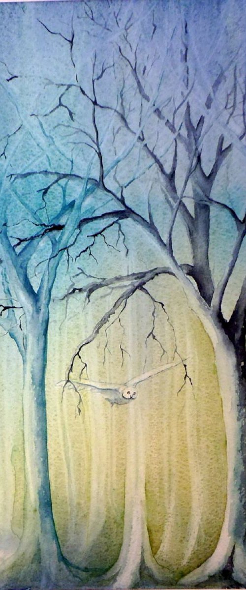Fantasy woodland by Diana Dabinett
