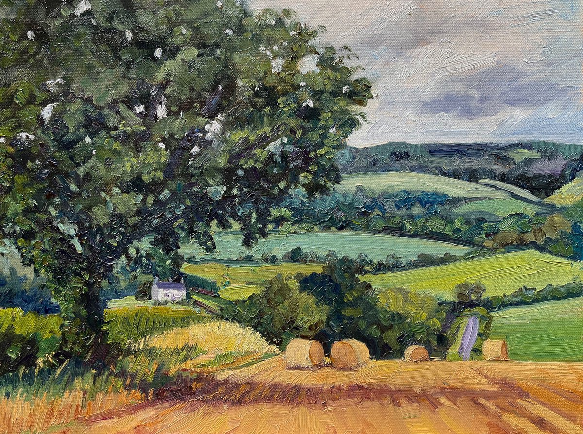 Fox Folly and Harvested Field, Coxwold by Jeff Parker