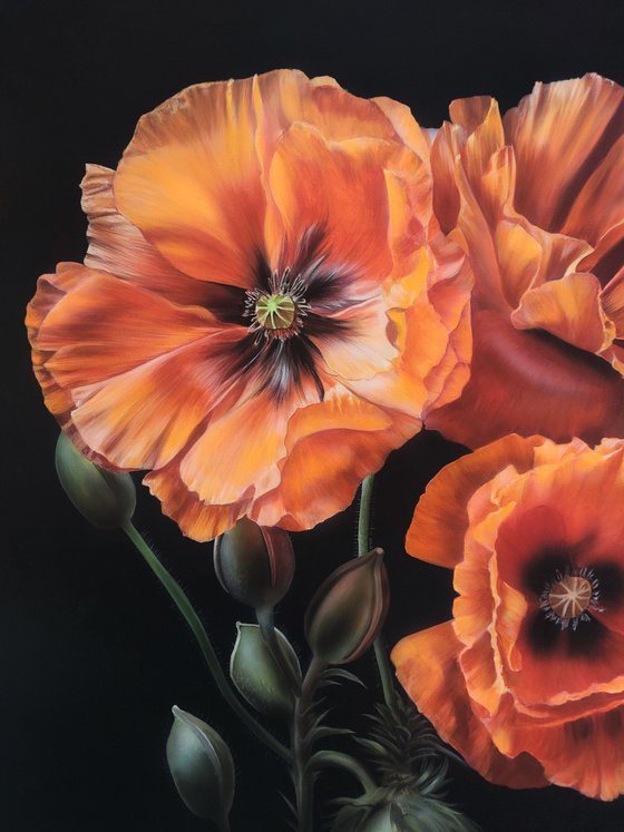 Realism poppies acrylic, Realism painting flowers,  flower art,  painting hyperrealism