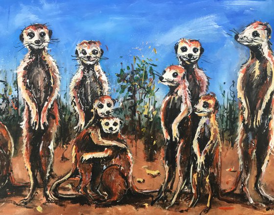 Meerkats