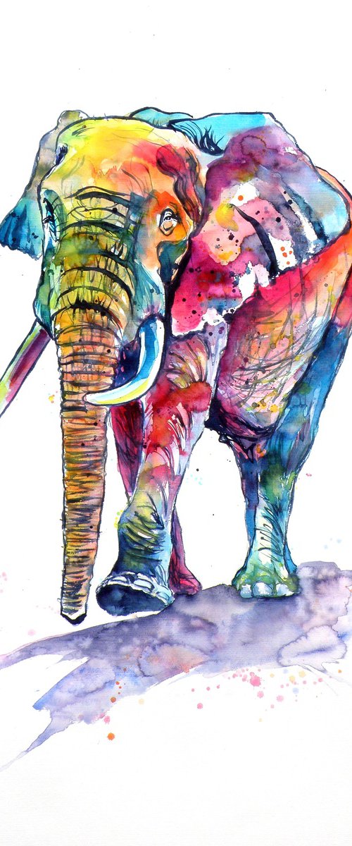 Happy colourful elephant by Kovács Anna Brigitta