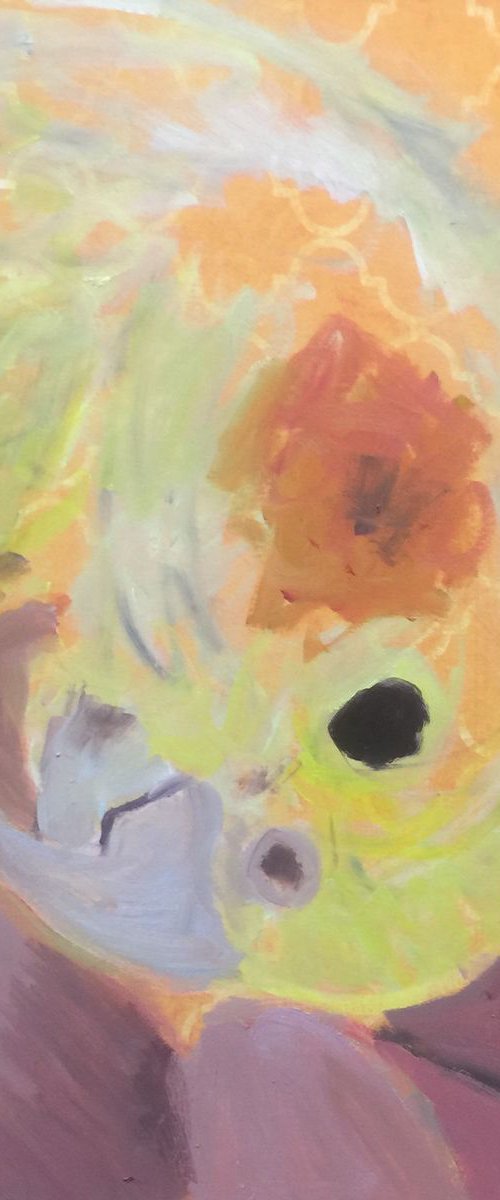 Cockatiel by Ryan  Louder