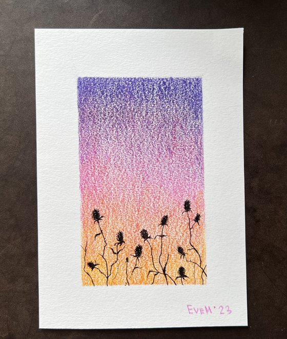 Dried flowers against the backdrop of sunset. Miniature of flowers, silhouettes of flowers at sunset. Original artwork.