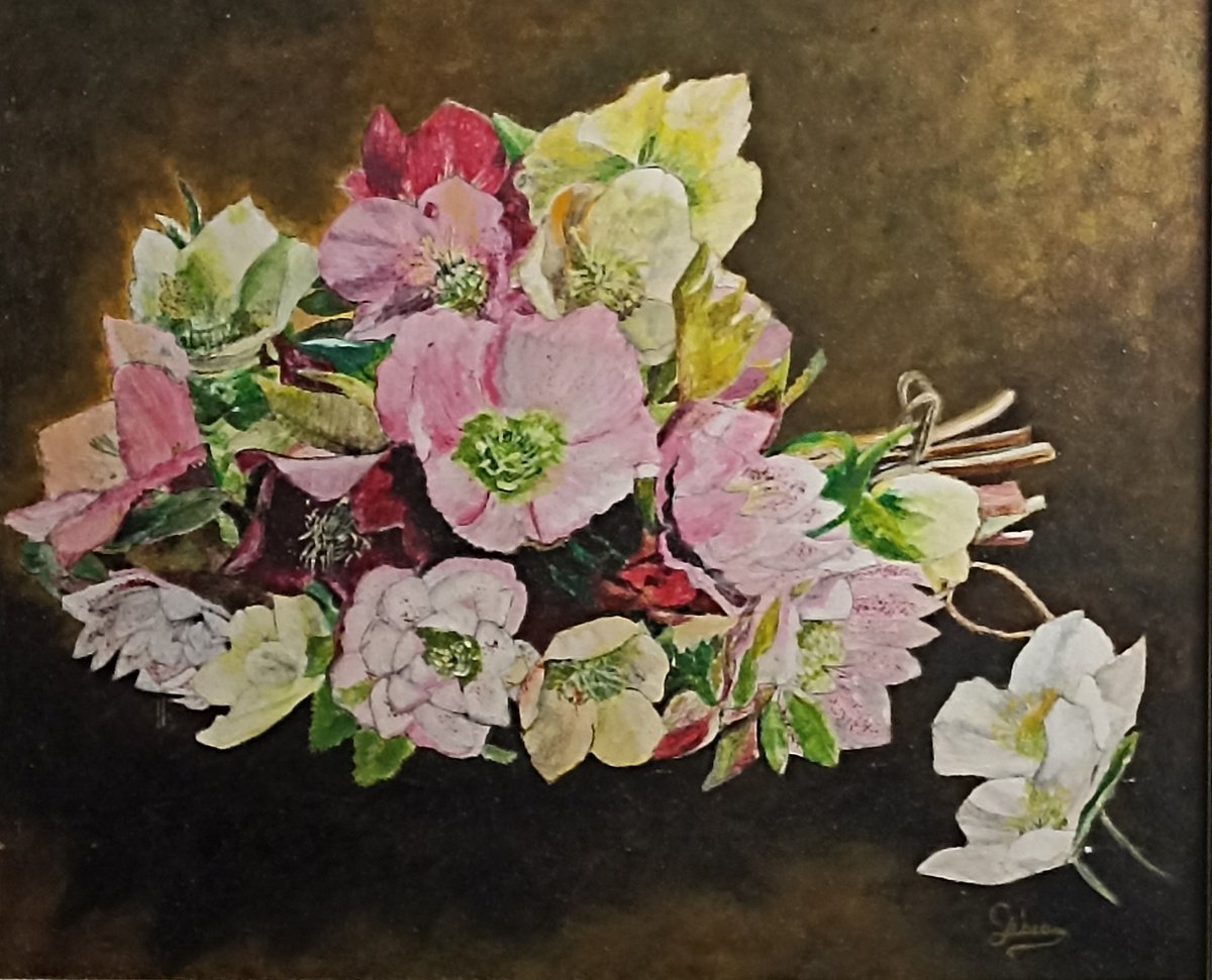 Impressionistic Botanical Oil Painting By Isabelle Lucas, 22 X 19, Christmas Roses, Original Artwork