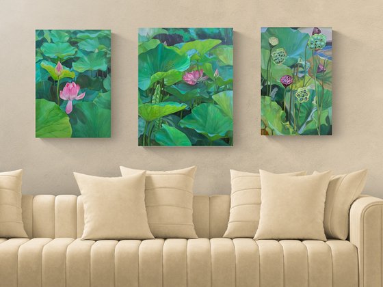 Lotuses. Pond. Time of youth