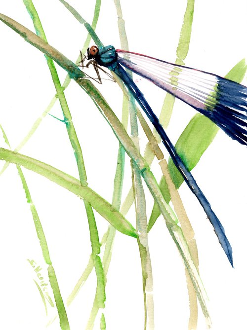 Dragonfly by Suren Nersisyan