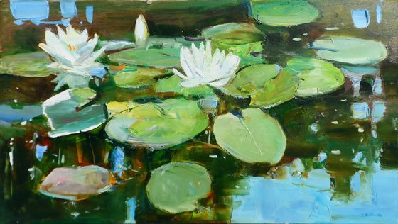 "Water Lilies  "