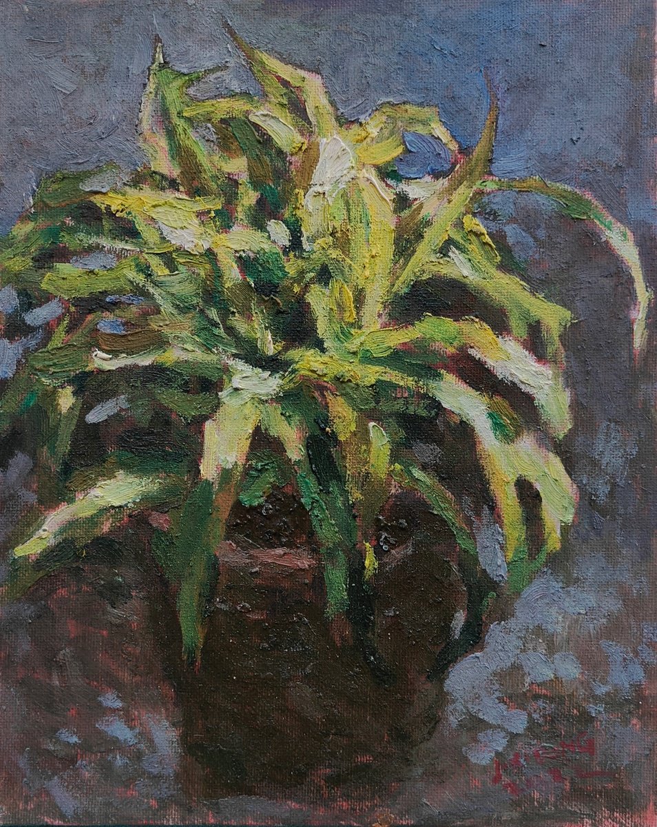 Flowers In A Bowl Beijing By Jixiang Dong, 8 X 10, Artwork For Sale On Artfinder