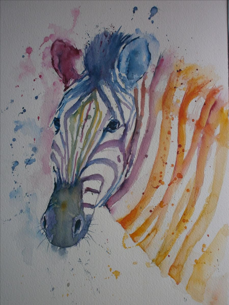 Zebra by Sue  Green