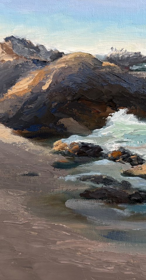 Bird Rock Beach III by Grace Diehl