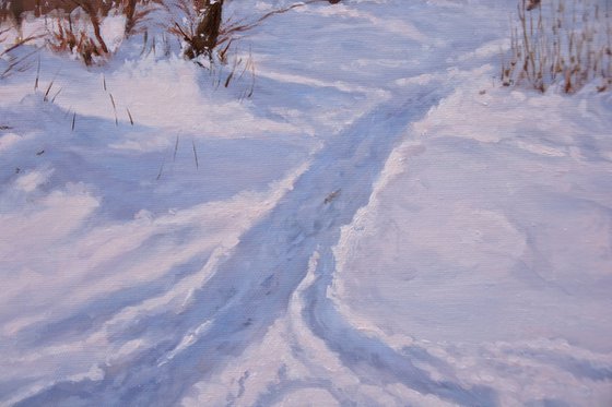 Path in Snow