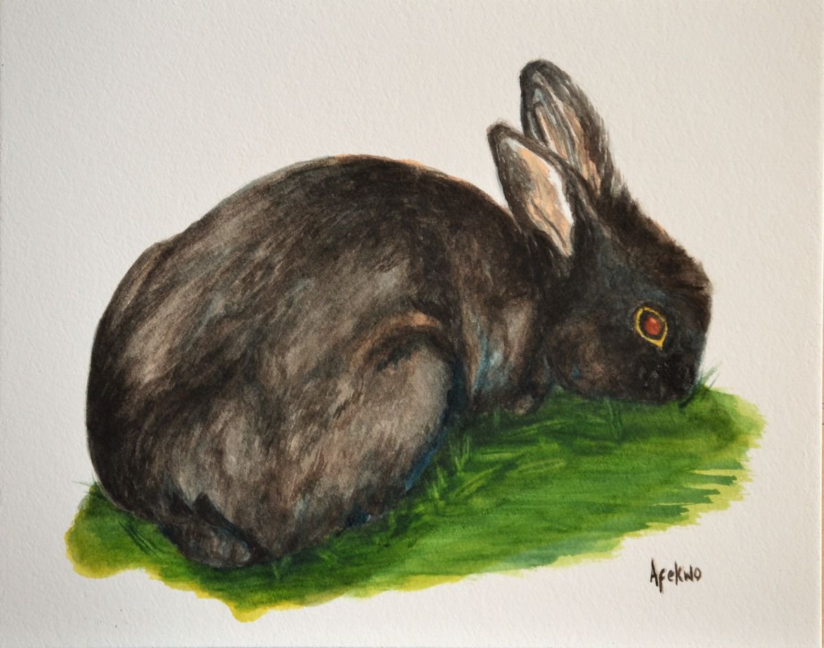 Black rabbit by Afekwo