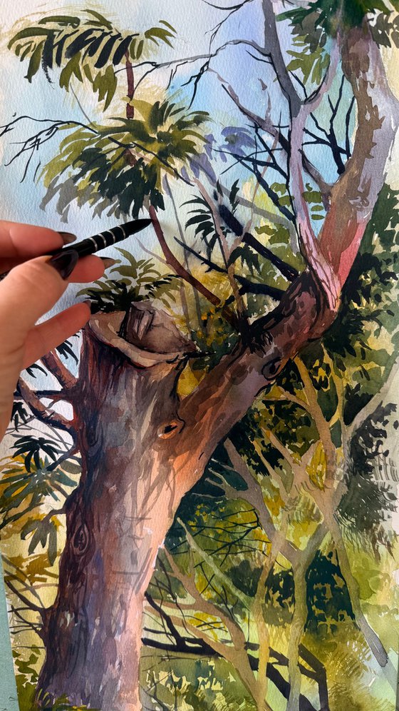 Light Between Branches