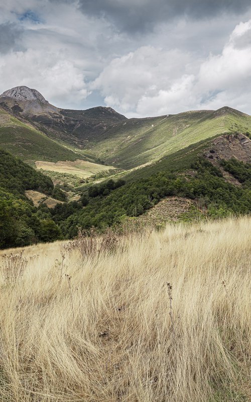 Landscapes of Spain by Lidiya Dmitrieva
