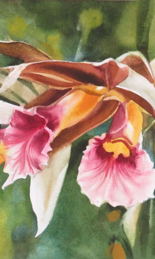 A painting a day #16 "Nun's orchid" by Alfred  Ng
