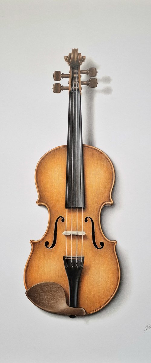 Violin Trompe L'oeil by Daniel Shipton