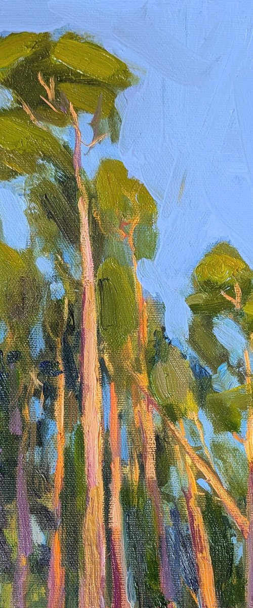 Pine trees. Etude. by Olga Samar