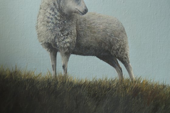 Sheep on a Hill