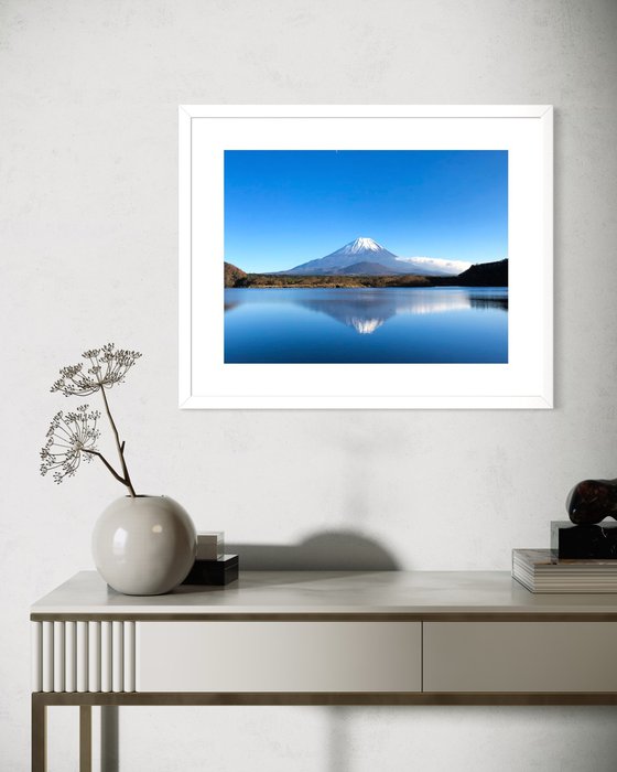 FUJI REFLECT