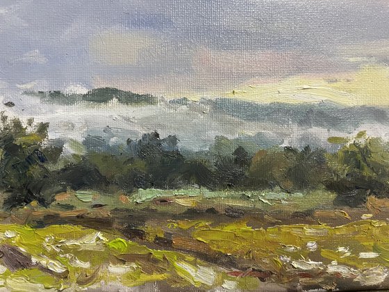 Morning Mist After the Rain