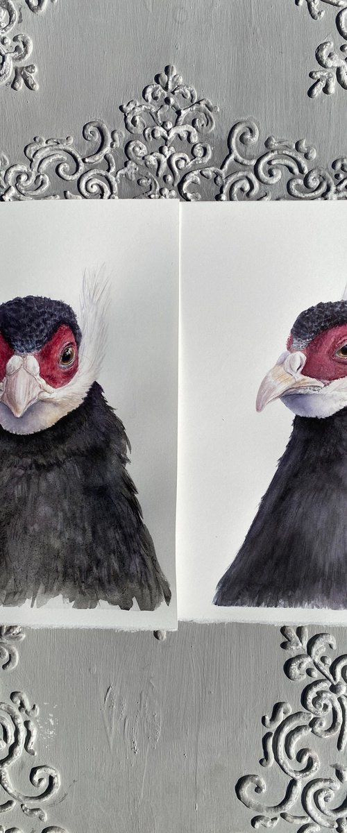 Eared Pheasants: A Portrait Diptych by Tetiana Savchenko