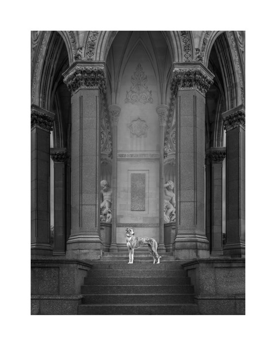 Greyhounds of London IV