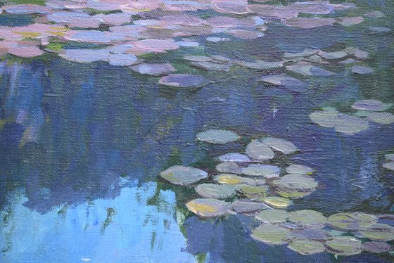 Water lilies light and shadow