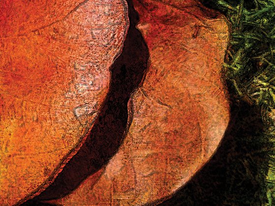 Otoño