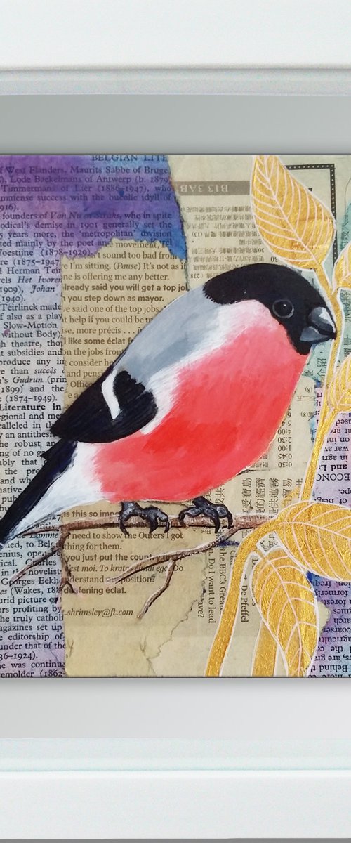 Bullfinch - Ornithology#1 - Framed ready to hang original painting by Carolynne Coulson