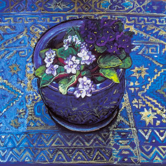 African Violets