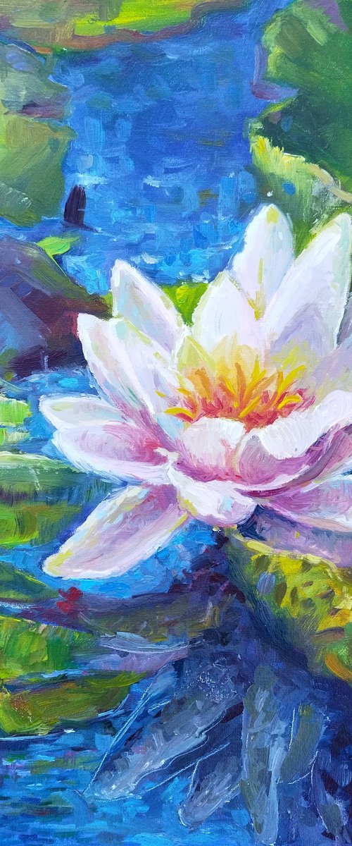 Water lilies oil painting 50*50 cm by Ann Krasikova