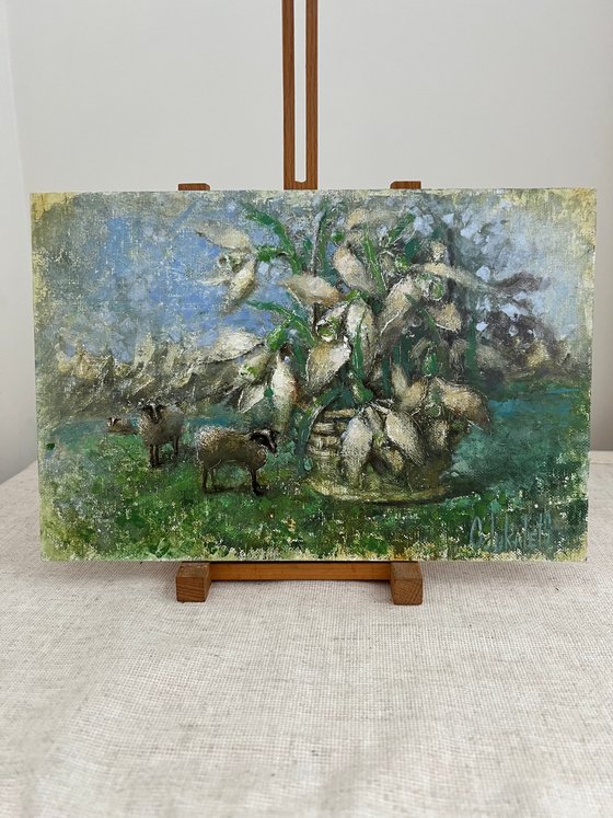 Sheep Snowdrops Pastoral Landscape