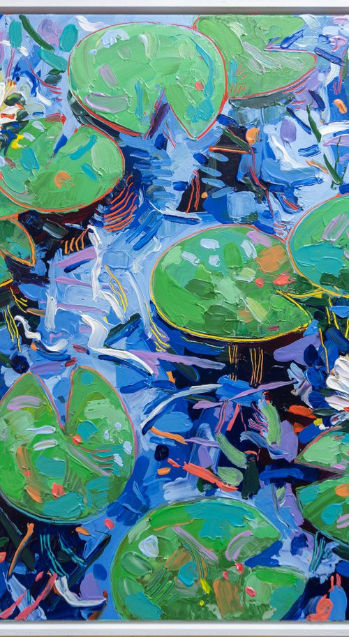 Tasman Lily Pond 37 by Joseph Villanueva