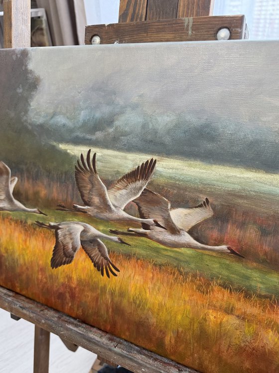 Warm rain through sunlight