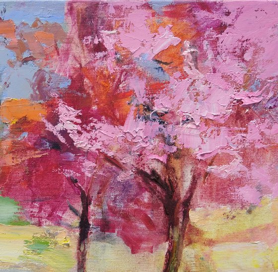 Walk under the cherry blossoms of Uzhgorod. Ukrainian landscape. Original plein air oil painting .