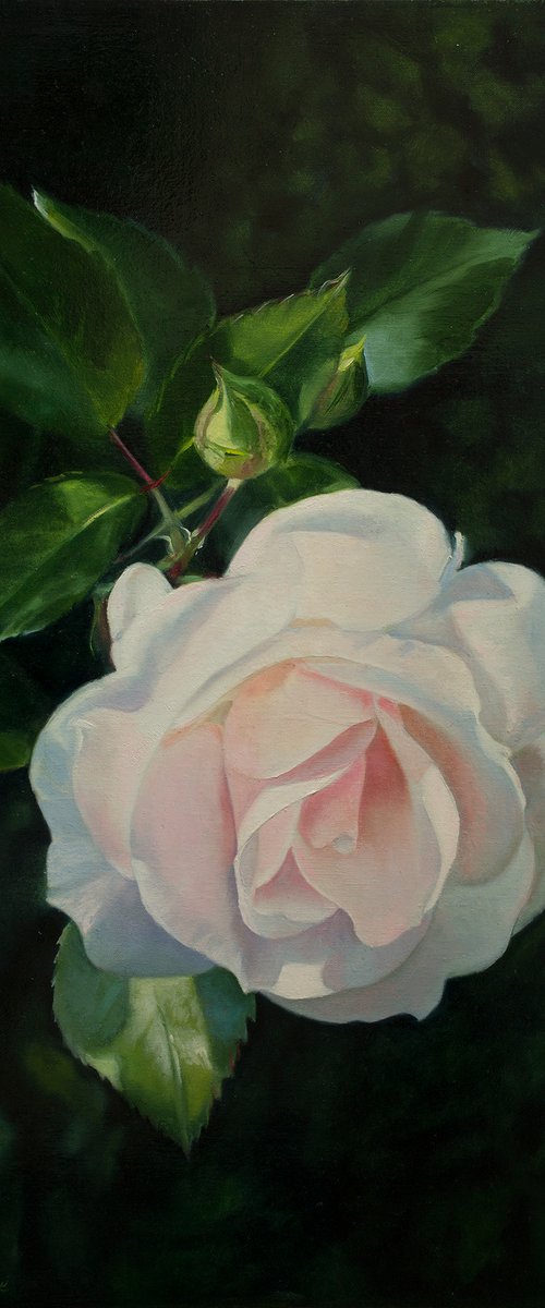 "Awe"  rose flower  liGHt original painting  GIFT (2018) by Anna Bessonova (Kotelnik)