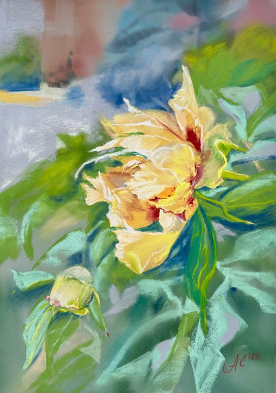 Floral: Yellow Peony