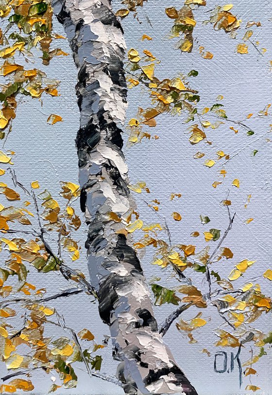 Birch in the sky