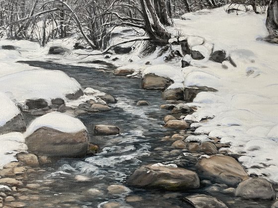 Winter Stillness in Motion