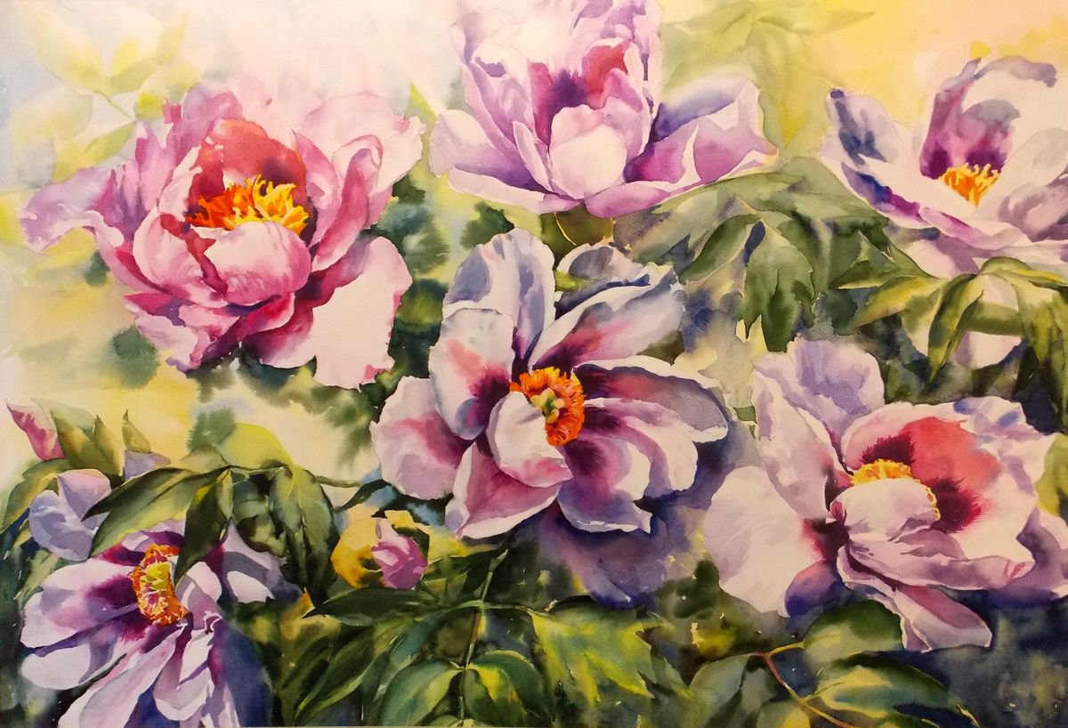 Impressionistic Botanical Watercolour By Yurii Pashkov, 36 X 25", Pink Peonies#2, Original Artwork