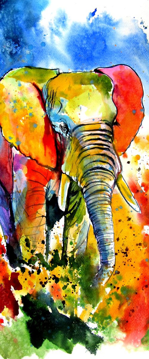 Colorful elephant on the field by Kovács Anna Brigitta