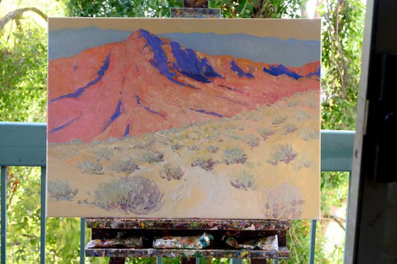 Desert Landscape